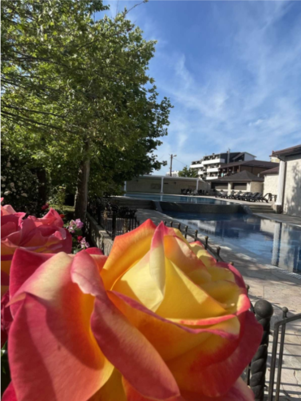 "Платан Resort" база отдыха в Витязево "Платан Resort" база отдыха в Витязево