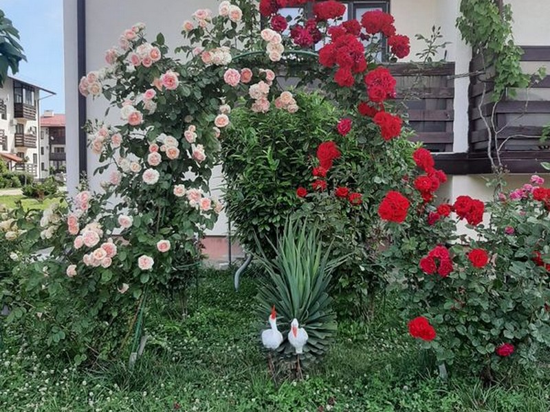 "ЖК Резиденция Утриш" квартира-студия в Сукко "ЖК Резиденция Утриш" квартира-студия в Сукко