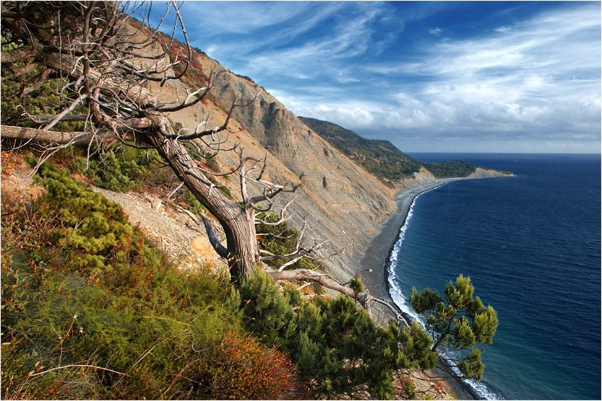 ����� �����