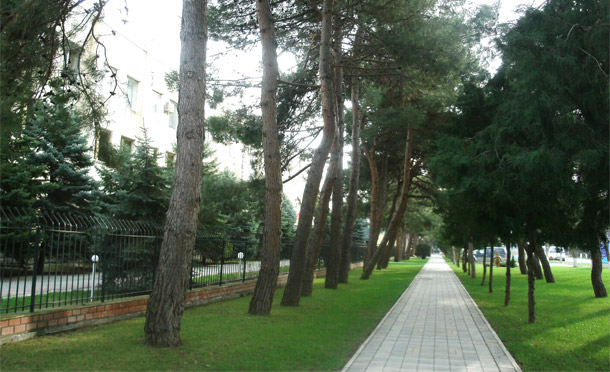 ����� ���������� ��������