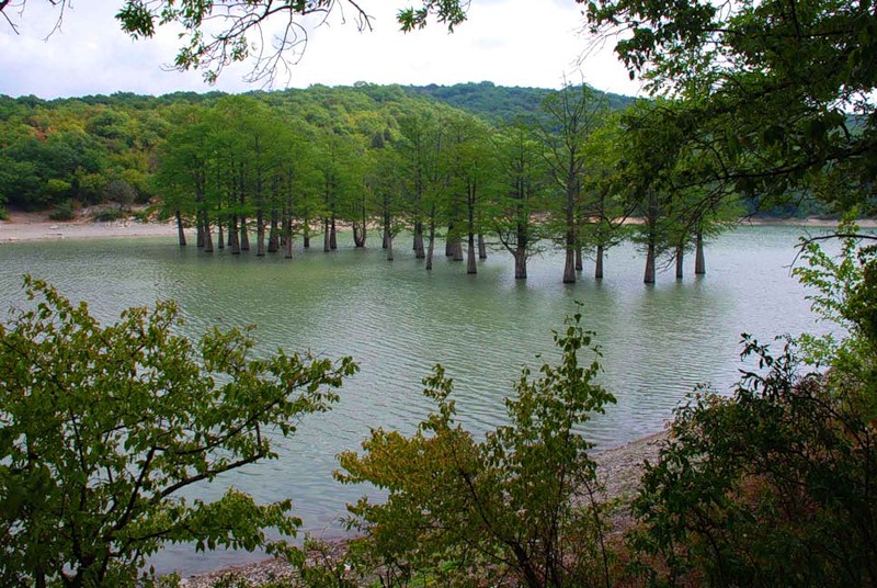 ����� �����